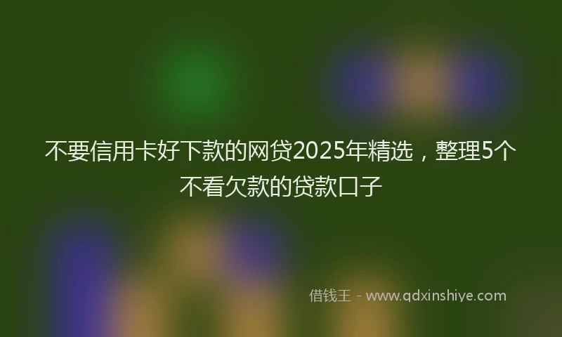 不要信用卡好下款的网贷2025年精选，整理5个不看欠款的贷款口子