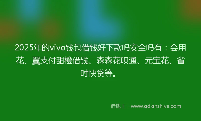 2025年的vivo钱包借钱好下款吗安全吗有：会用花、翼支付甜橙借钱、森森花呗通、元宝花、省时快贷等。