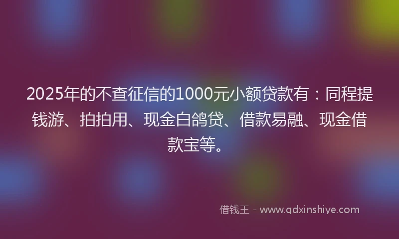 2025年的不查征信的1000元小额贷款有：同程提钱游、拍拍用、现金白鸽贷、借款易融、现金借款宝等。
