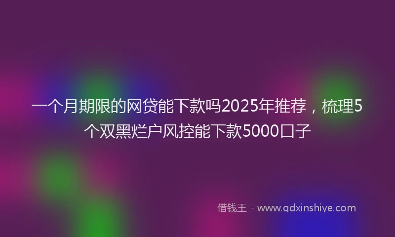 一个月期限的网贷能下款吗2025年推荐，梳理5个双黑烂户风控能下款5000口子