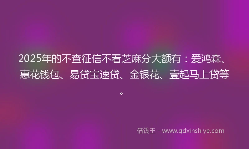 2025年的不查征信不看芝麻分大额有：爱鸿森、惠花钱包、易贷宝速贷、金银花、壹起马上贷等。
