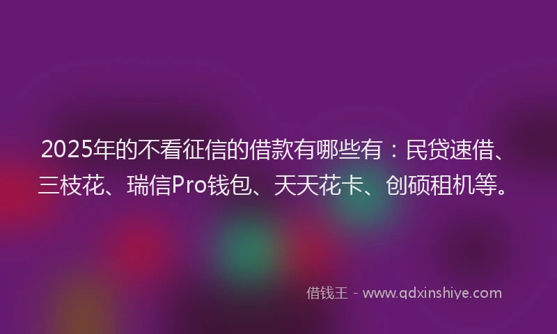 2025年的不看征信的借款有哪些有：民贷速借、三枝花、瑞信Pro钱包、天天花卡、创硕租机等。