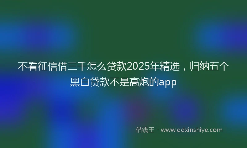 不看征信借三千怎么贷款2025年精选，归纳五个黑白贷款不是高炮的app