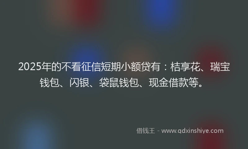 2025年的不看征信短期小额贷有:桔享花、瑞宝钱包、闪银、袋鼠钱包、现金借款等。