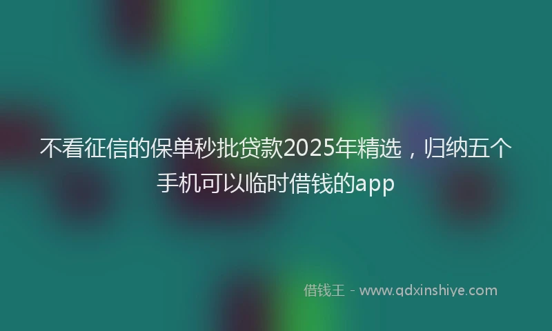 不看征信的保单秒批贷款2025年精选，归纳五个手机可以临时借钱的app