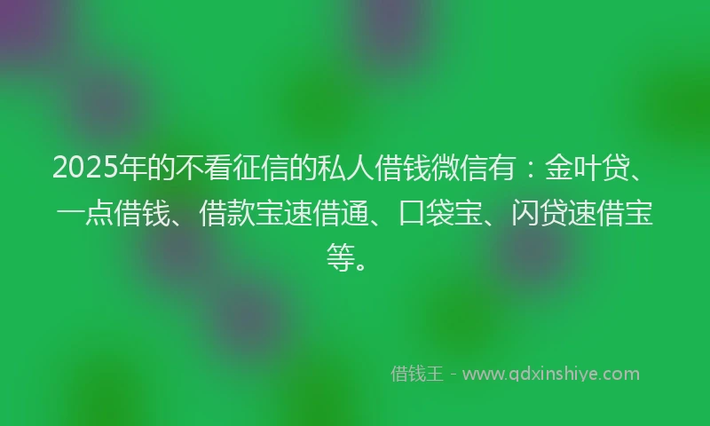 2025年的不看征信的私人借钱微信有：金叶贷、一点借钱、借款宝速借通、口袋宝、闪贷速借宝等。