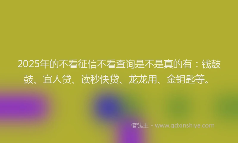 2025年的不看征信不看查询是不是真的有：钱鼓鼓、宜人贷、读秒快贷、龙龙用、金钥匙等。