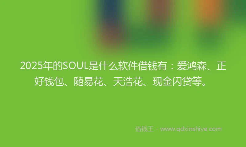 2025年的SOUL是什么软件借钱有：爱鸿森、正好钱包、随易花、天浩花、现金闪贷等。