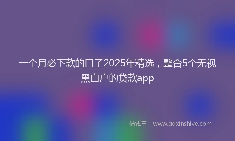 一个月必下款的口子2025年精选，整合5个无视黑白户的贷款app