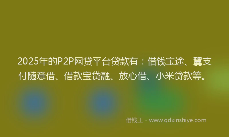 2025年的P2P网贷平台贷款有：借钱宝途、翼支付随意借、借款宝贷融、放心借、小米贷款等。