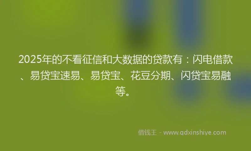 2025年的不看征信和大数据的贷款有：闪电借款、易贷宝速易、易贷宝、花豆分期、闪贷宝易融等。
