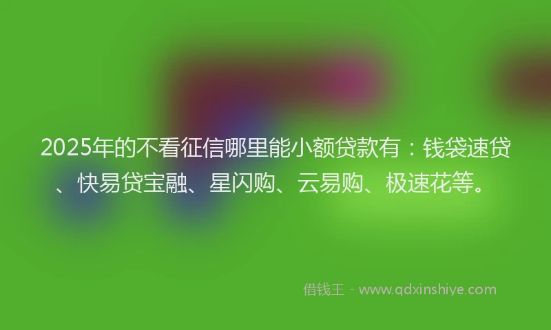 2025年的不看征信哪里能小额贷款有：钱袋速贷、快易贷宝融、星闪购、云易购、极速花等。