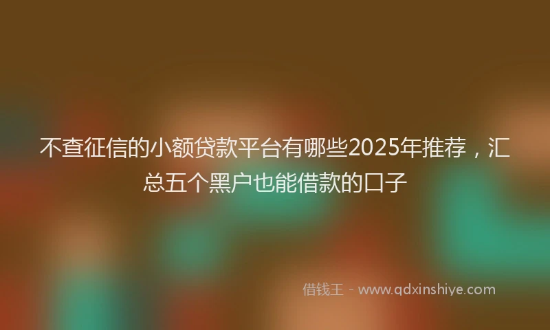 不查征信的小额贷款平台有哪些2025年推荐，汇总五个黑户也能借款的口子