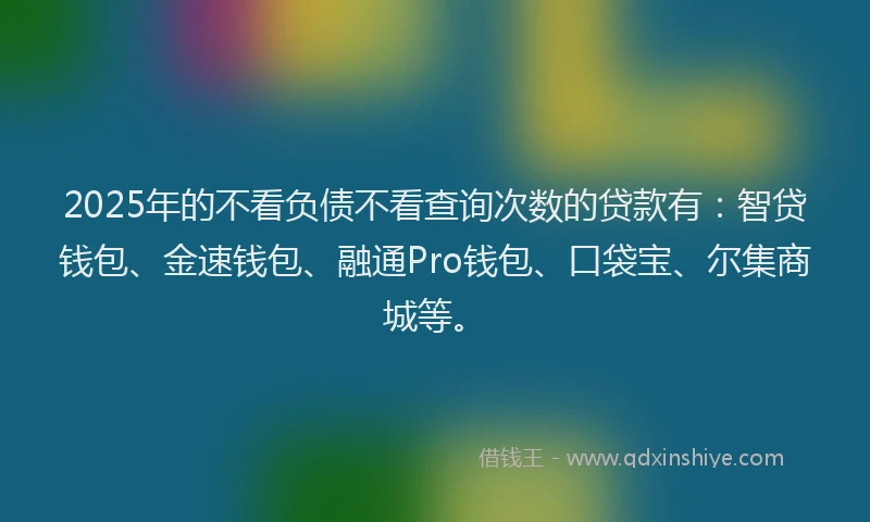 2025年的不看负债不看查询次数的贷款有：智贷钱包、金速钱包、融通Pro钱包、口袋宝、尔集商城等。
