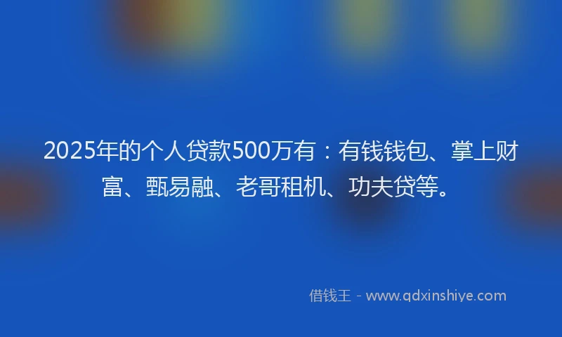 2025年的个人贷款500万有：有钱钱包、掌上财富、甄易融、老哥租机、功夫贷等。