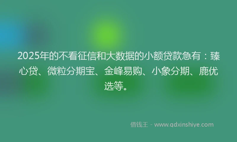 2025年的不看征信和大数据的小额贷款急有：臻心贷、微粒分期宝、金峰易购、小象分期、鹿优选等。