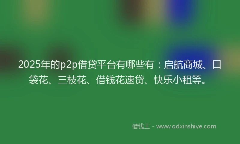 2025年的p2p借贷平台有哪些有：启航商城、口袋花、三枝花、借钱花速贷、快乐小租等。