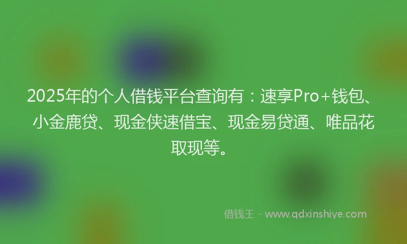 2025年的个人借钱平台查询有：速享Pro+钱包、小金鹿贷、现金侠速借宝、现金易贷通、唯品花取现等。