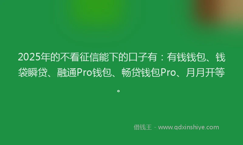 2025年的不看征信能下的口子有：有钱钱包、钱袋瞬贷、融通Pro钱包、畅贷钱包Pro、月月开等。