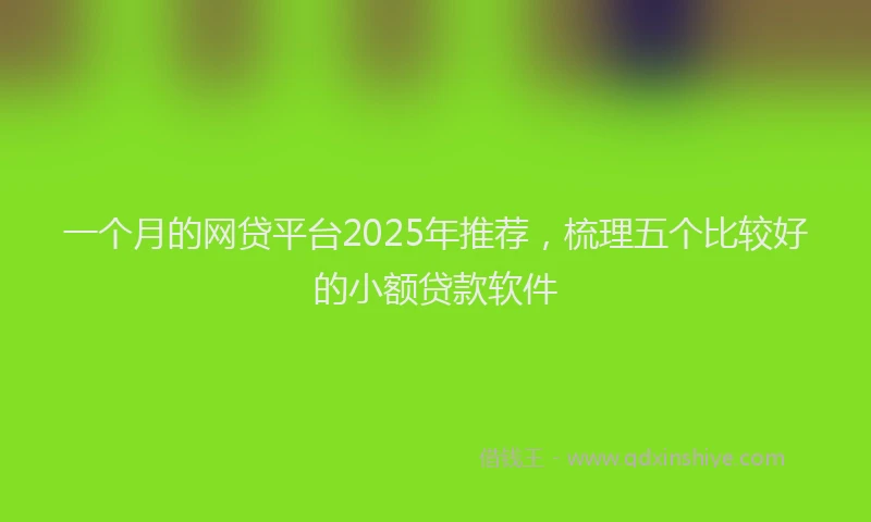 一个月的网贷平台2025年推荐，梳理五个比较好的小额贷款软件