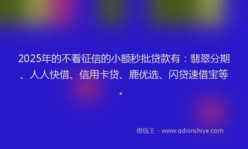 2025年的不看征信的小额秒批贷款有：翡翠分期、人人快借、信用卡贷、鹿优选、闪贷速借宝等。