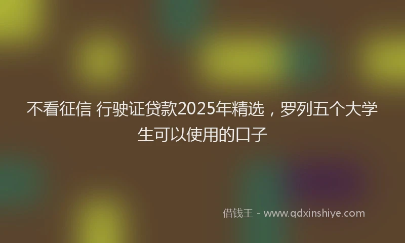不看征信 行驶证贷款2025年精选，罗列五个大学生可以使用的口子
