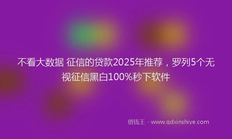 不看大数据 征信的贷款2025年推荐，罗列5个无视征信黑白100%秒下软件