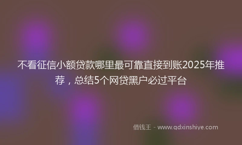 不看征信小额贷款哪里最可靠直接到账2025年推荐，总结5个网贷黑户必过平台