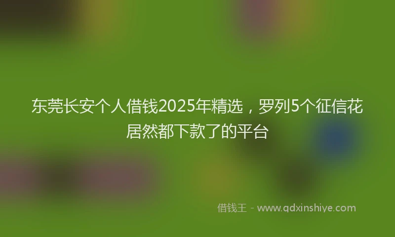 东莞长安个人借钱2025年精选，罗列5个征信花居然都下款了的平台