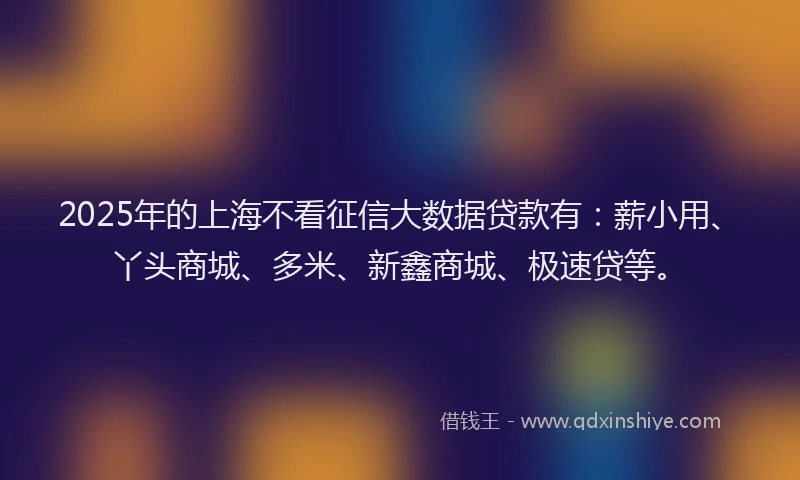 2025年的上海不看征信大数据贷款有：薪小用、丫头商城、多米、新鑫商城、极速贷等。