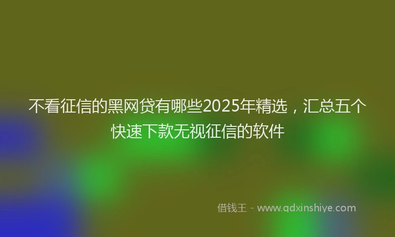 不看征信的黑网贷有哪些2025年精选，汇总五个快速下款无视征信的软件