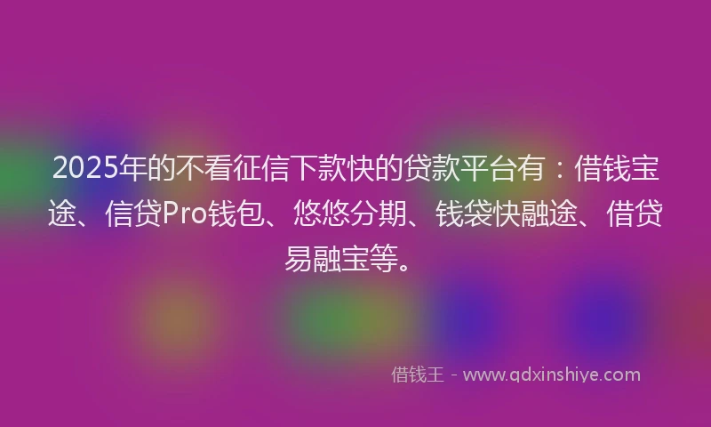 2025年的不看征信下款快的贷款平台有：借钱宝途、信贷Pro钱包、悠悠分期、钱袋快融途、借贷易融宝等。