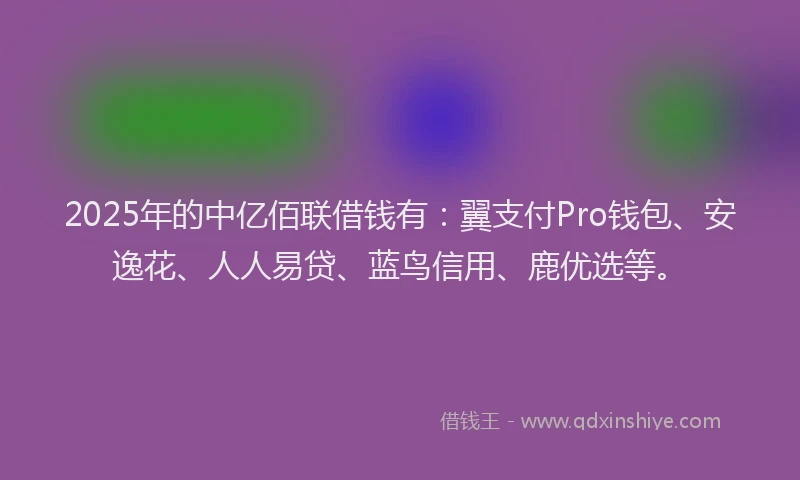 2025年的中亿佰联借钱有：翼支付Pro钱包、安逸花、人人易贷、蓝鸟信用、鹿优选等。