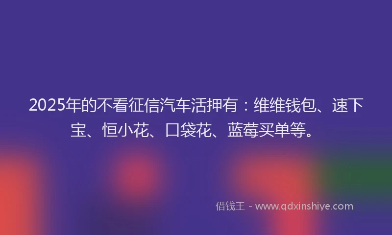 2025年的不看征信汽车活押有：维维钱包、速下宝、恒小花、口袋花、蓝莓买单等。