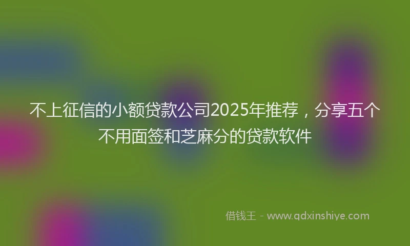 不上征信的小额贷款公司2025年推荐，分享五个不用面签和芝麻分的贷款软件