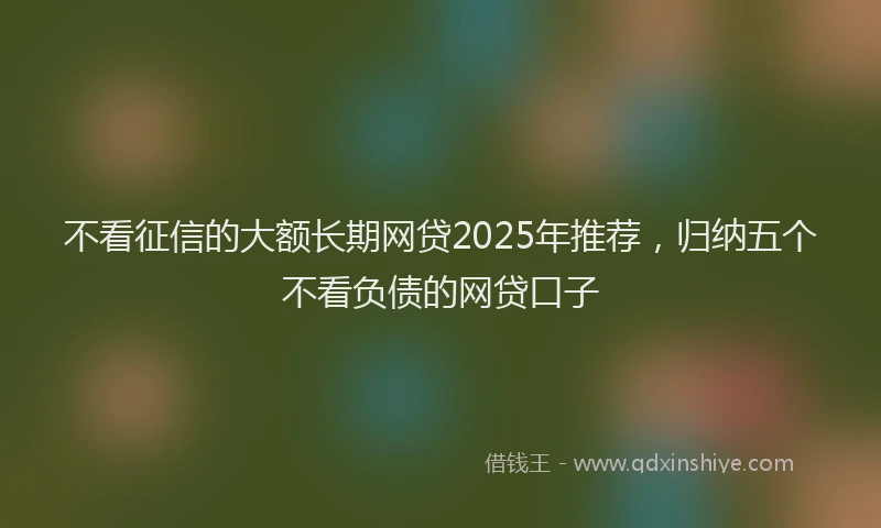 不看征信的大额长期网贷2025年推荐，归纳五个不看负债的网贷口子