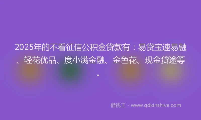 2025年的不看征信公积金贷款有：易贷宝速易融、轻花优品、度小满金融、金色花、现金贷途等。