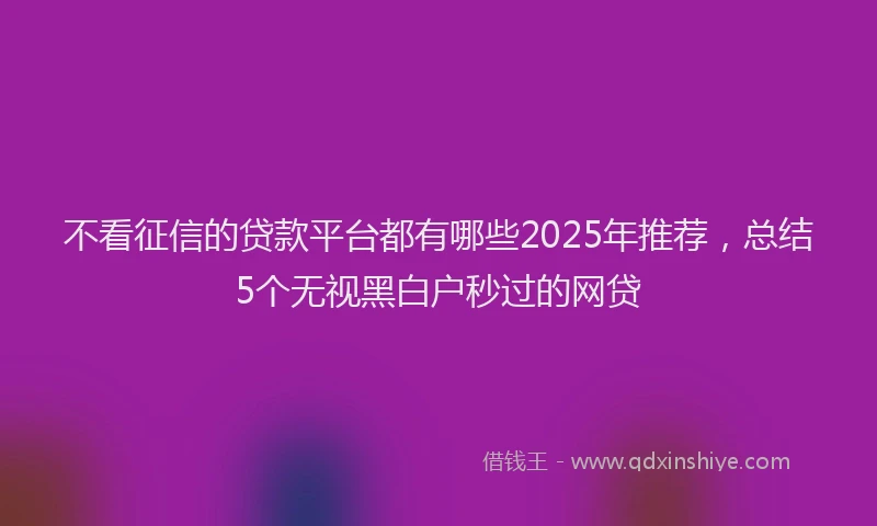 不看征信的贷款平台都有哪些2025年推荐，总结5个无视黑白户秒过的网贷