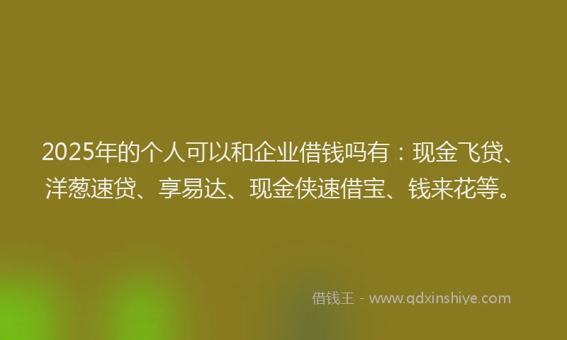 2025年的个人可以和企业借钱吗有：现金飞贷、洋葱速贷、享易达、现金侠速借宝、钱来花等。