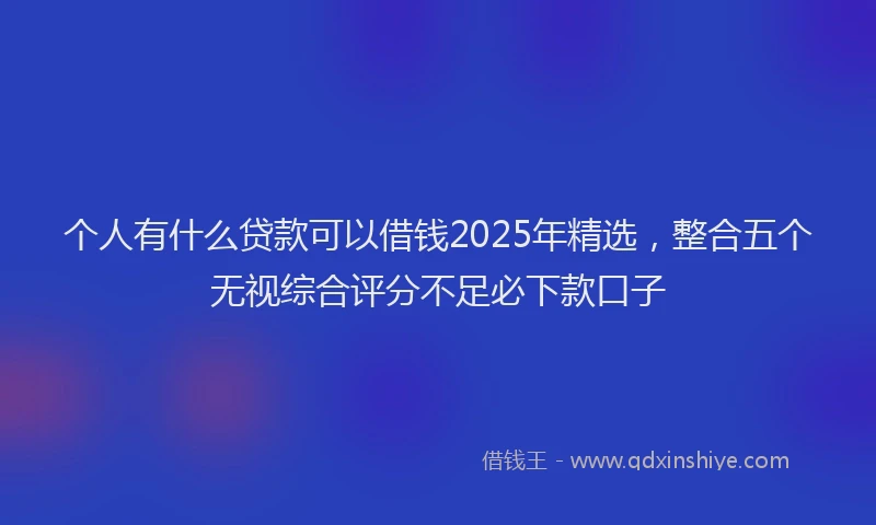 个人有什么贷款可以借钱2025年精选，整合五个无视综合评分不足必下款口子