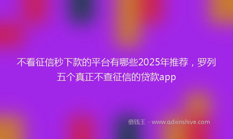 不看征信秒下款的平台有哪些2025年推荐，罗列五个真正不查征信的贷款app