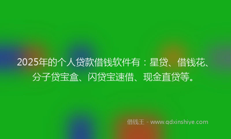 2025年的个人贷款借钱软件有：星贷、借钱花、分子贷宝盒、闪贷宝速借、现金直贷等。