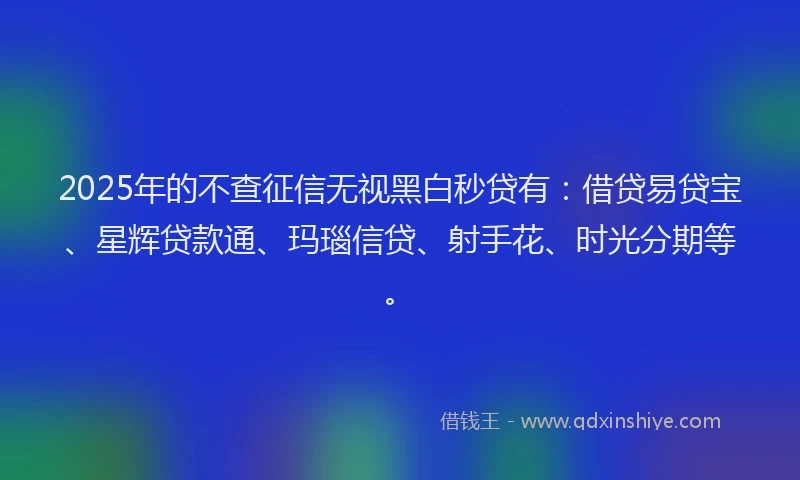 2025年的不查征信无视黑白秒贷有：借贷易贷宝、星辉贷款通、玛瑙信贷、射手花、时光分期等。