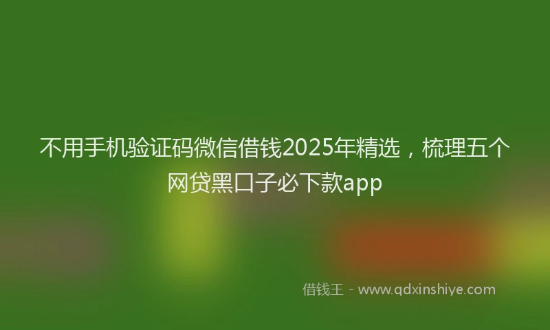 不用手机验证码微信借钱2025年精选，梳理五个网贷黑口子必下款app