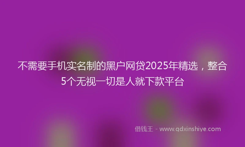 不需要手机实名制的黑户网贷2025年精选，整合5个无视一切是人就下款平台