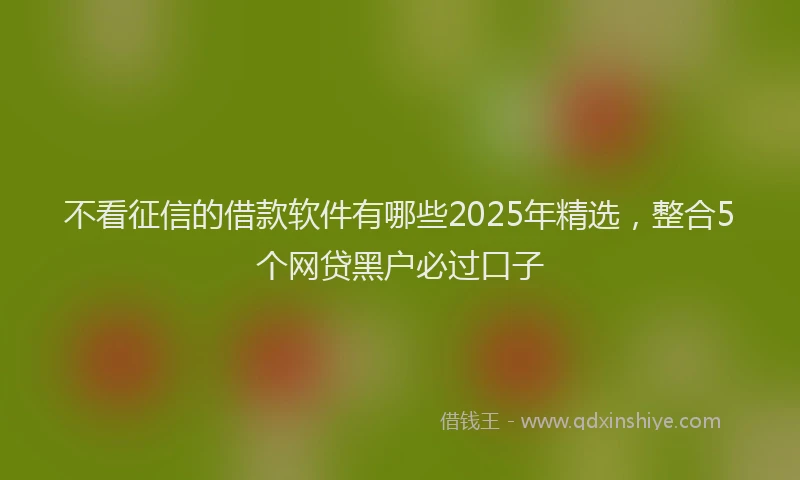 不看征信的借款软件有哪些2025年精选，整合5个网贷黑户必过口子