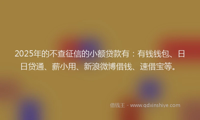 2025年的不查征信的小额贷款有：有钱钱包、日日贷通、薪小用、新浪微博借钱、速借宝等。