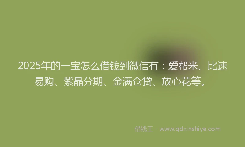 2025年的一宝怎么借钱到微信有：爱帮米、比速易购、紫晶分期、金满仓贷、放心花等。