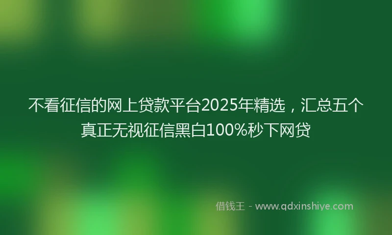 不看征信的网上贷款平台2025年精选，汇总五个真正无视征信黑白100%秒下网贷