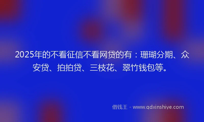 2025年的不看征信不看网贷的有：珊瑚分期、众安贷、拍拍贷、三枝花、翠竹钱包等。